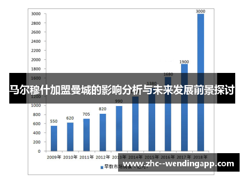 马尔穆什加盟曼城的影响分析与未来发展前景探讨