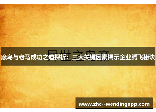 魔鸟与老马成功之道探析：三大关键因素揭示企业腾飞秘诀